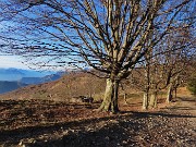 65 Rientriamo alla Forcella Alta 